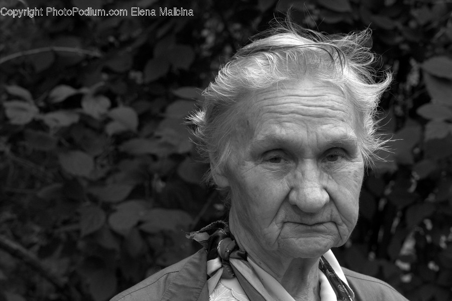 Human, People, Person, Face, Portrait