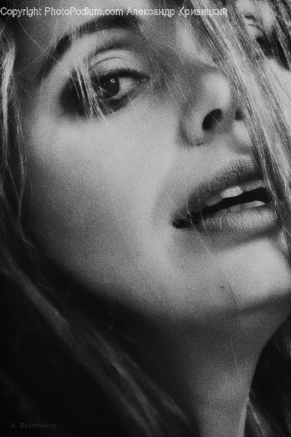 Human, People, Person, Face, Portrait