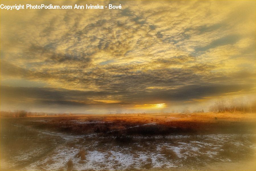 Land, Marsh, Outdoors, Swamp, Water, Flare, Light