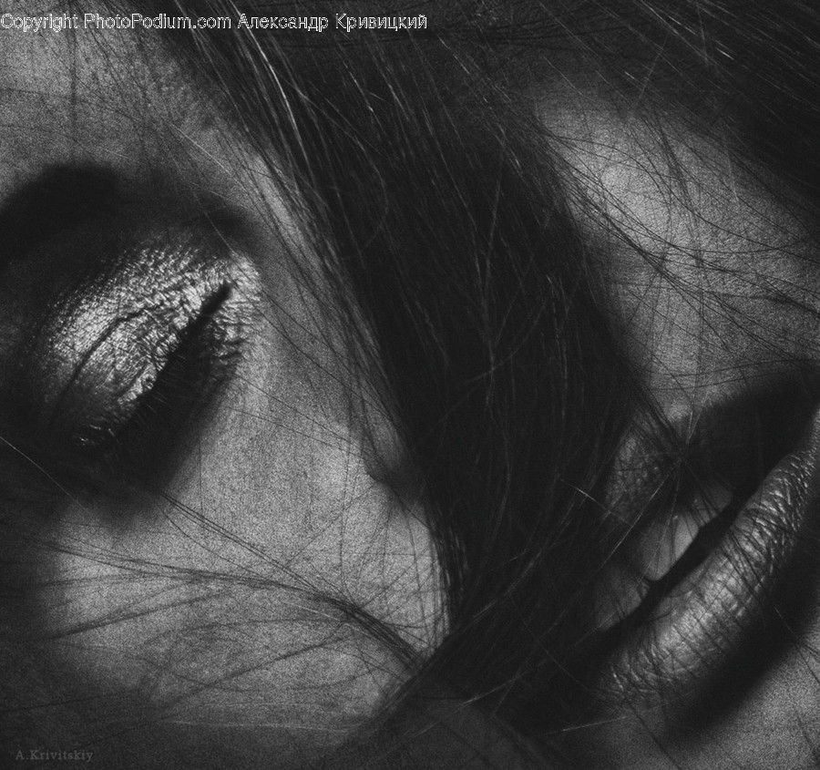 Head, Face, Human, Person, Portrait