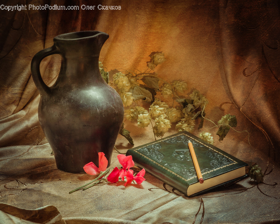 Flora, Jar, Plant, Potted Plant, Pottery