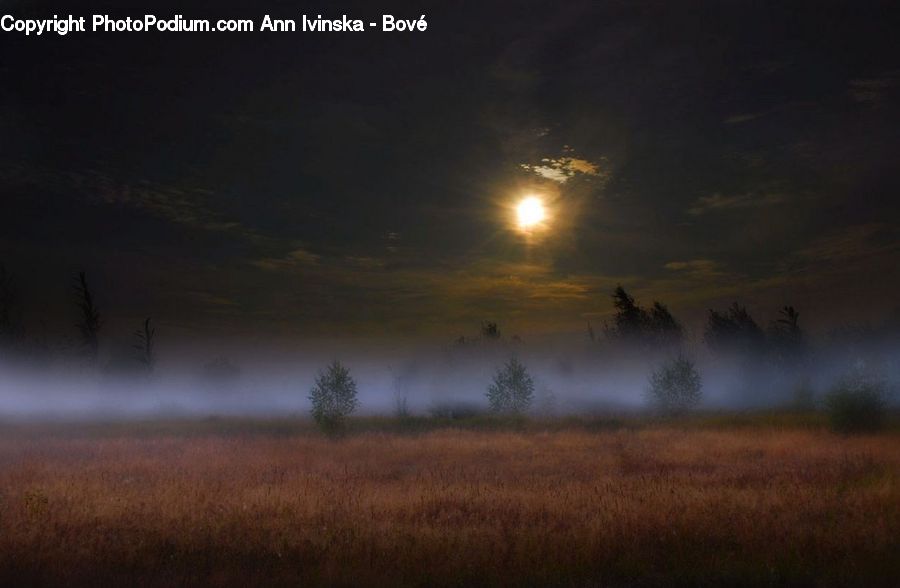 Field, Grass, Grassland, Plant, Dawn, Dusk, Sky