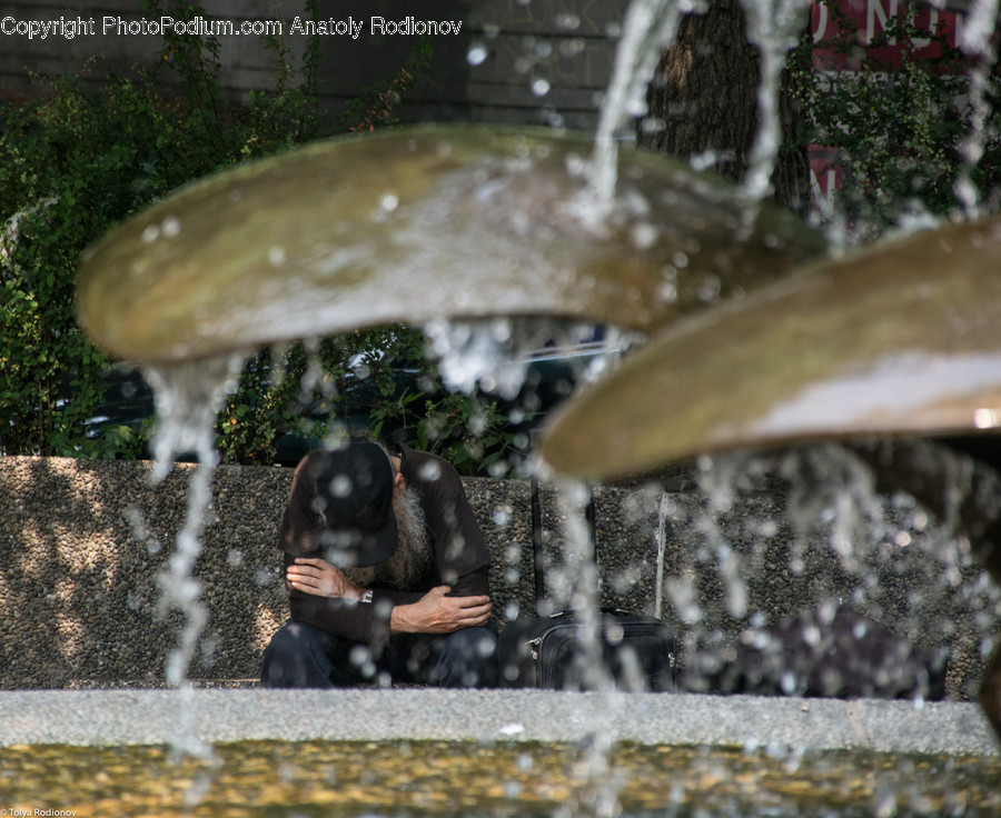 Fountain, Water, Flora, Ivy, Plant