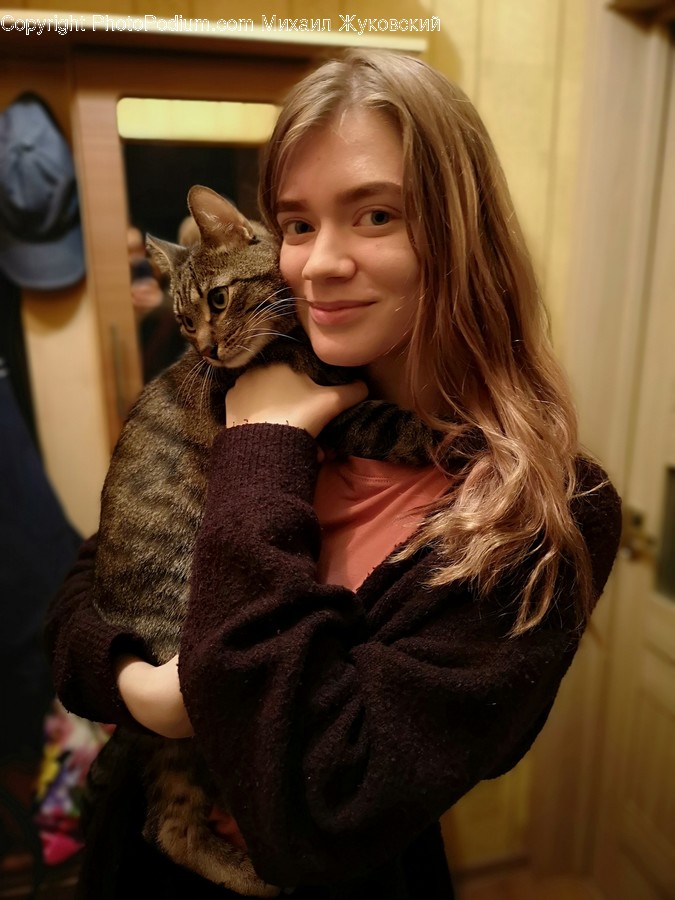 Human, People, Person, Abyssinian, Animal