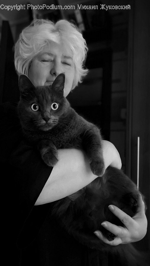 Animal, Hand, Adorable, Face, Human