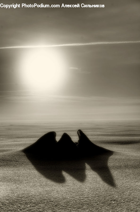 Silhouette, Outdoors, Sand, Soil, Sea, Water