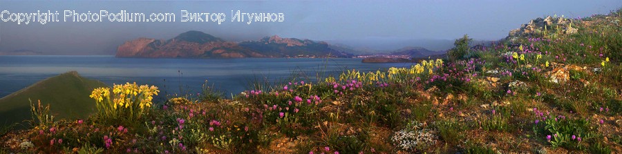 Coast, Nature, Ocean, Outdoors, Sea