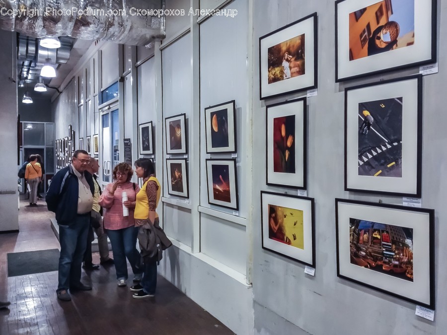 Human, People, Person, Art, Art Gallery