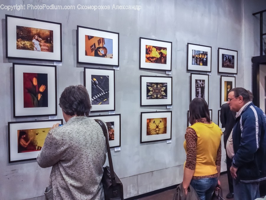 Human, People, Person, Art, Art Gallery
