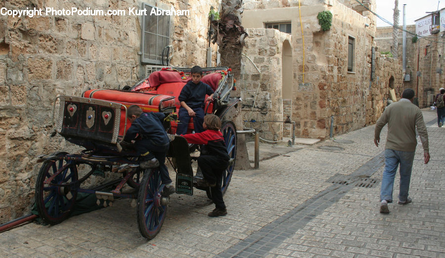 Human, People, Person, Carriage, Horse Cart, Vehicle, Back