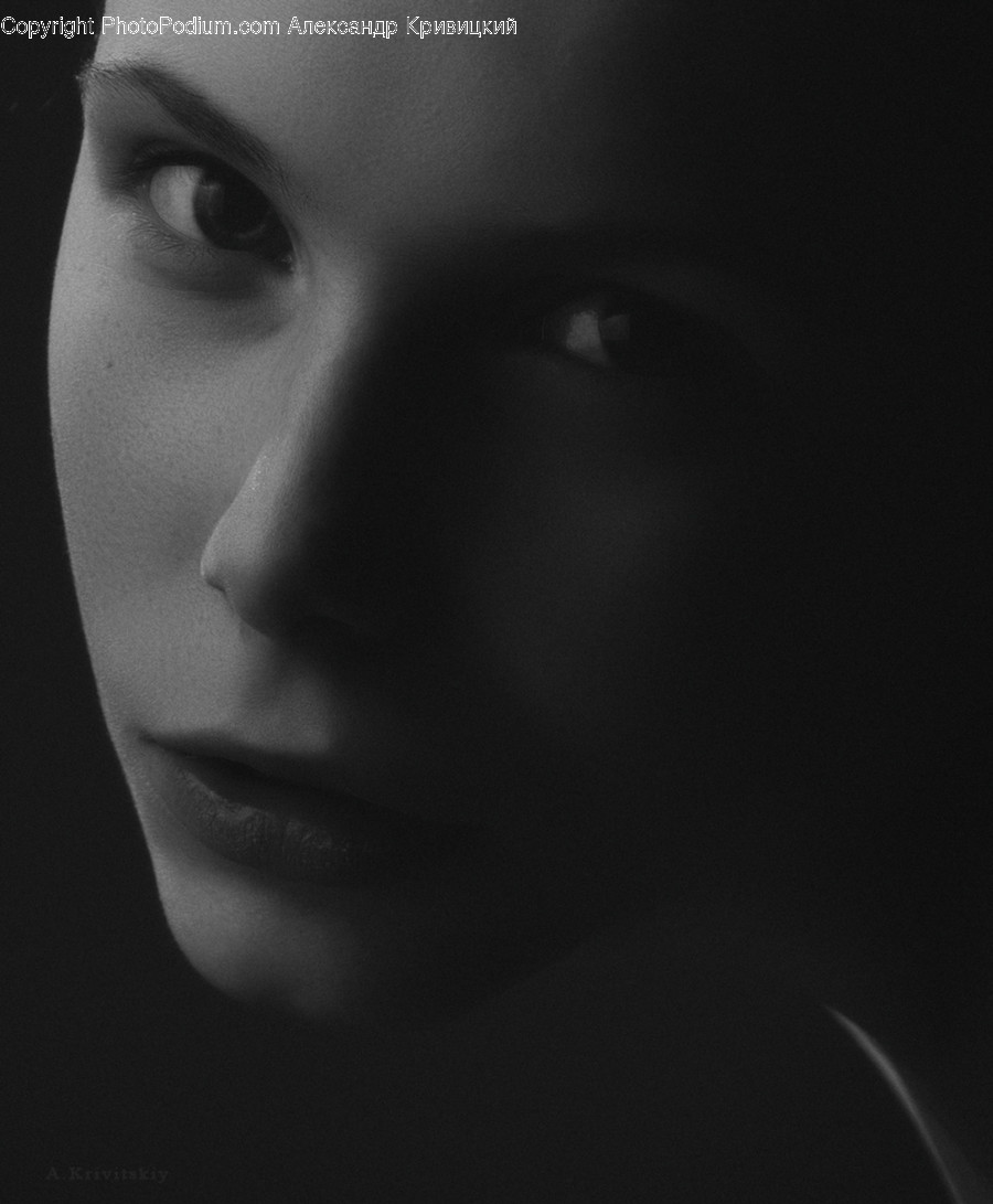 Face, Human, Person, Portrait, Head