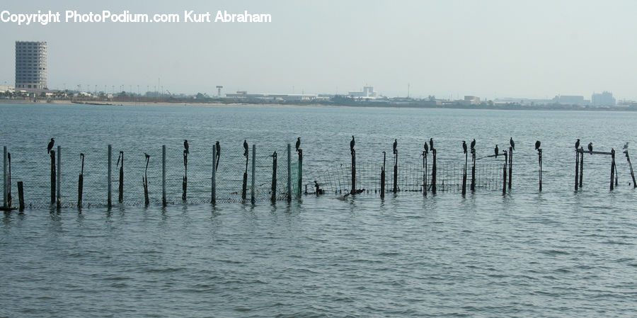 Building, Architecture, Dock, Pier, City, Downtown, High Rise