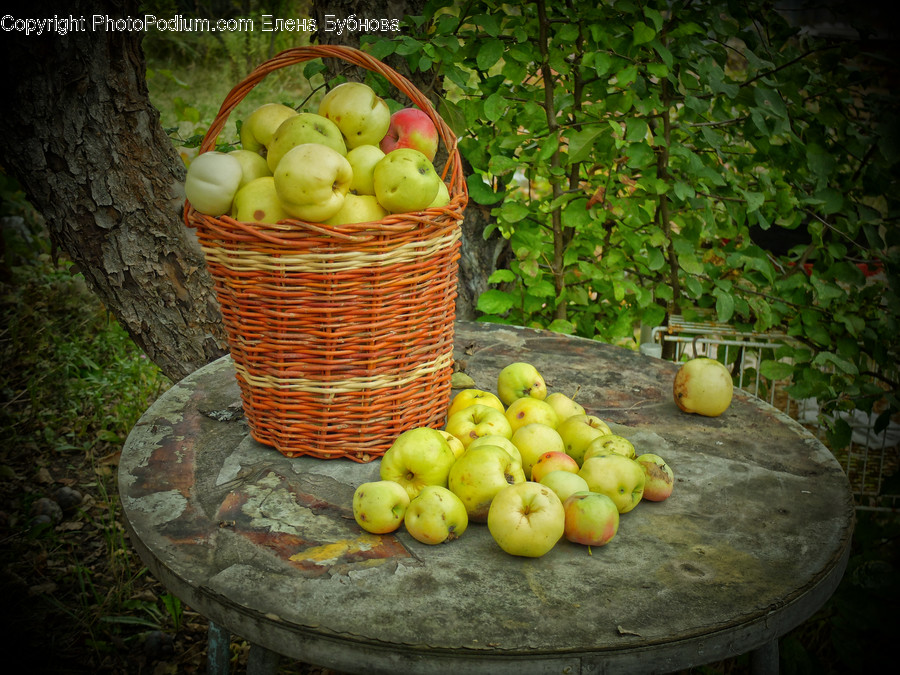 Flora, Food, Fruit, Grapes, Plant