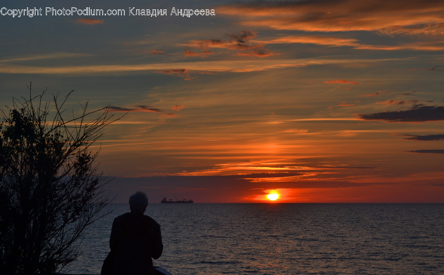 Human, People, Person, Dawn, Dusk
