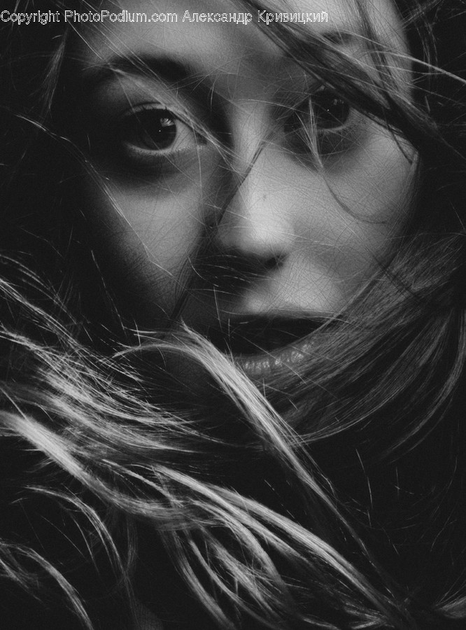Face, Human, Person, Portrait, Female