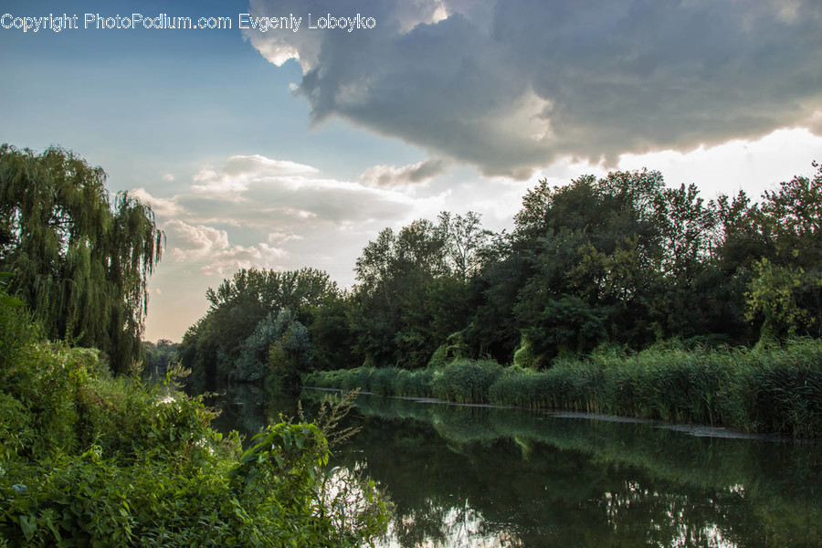 Cloud, Cumulus, Nature, Outdoors, Sky