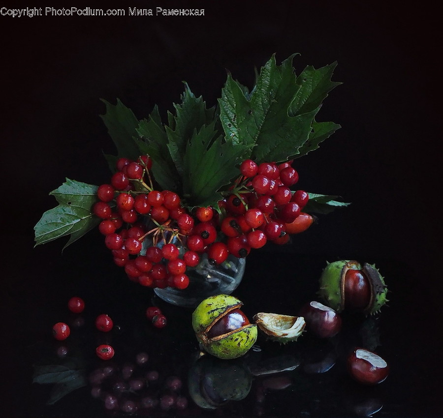Flora, Food, Fruit, Plant, Produce