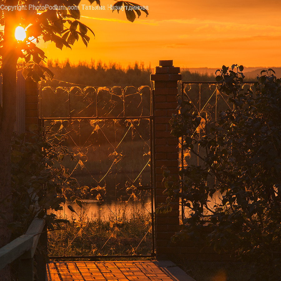 Dawn, Dusk, Nature, Outdoors, Red Sky