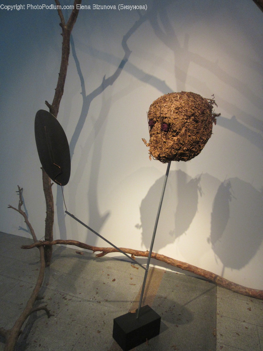 Bird Nest, Nest, Art, Blossom, Flora
