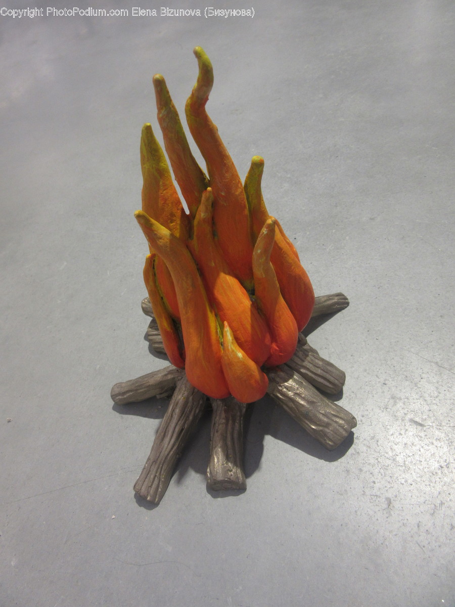 Cactus, Flora, Plant, Blossom, Flower