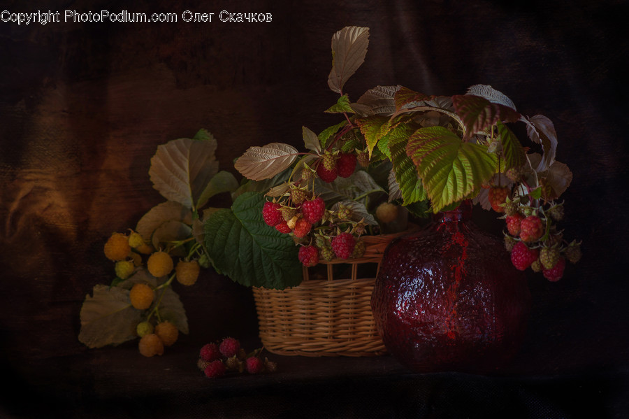 Flora, Food, Fruit, Plant, Produce
