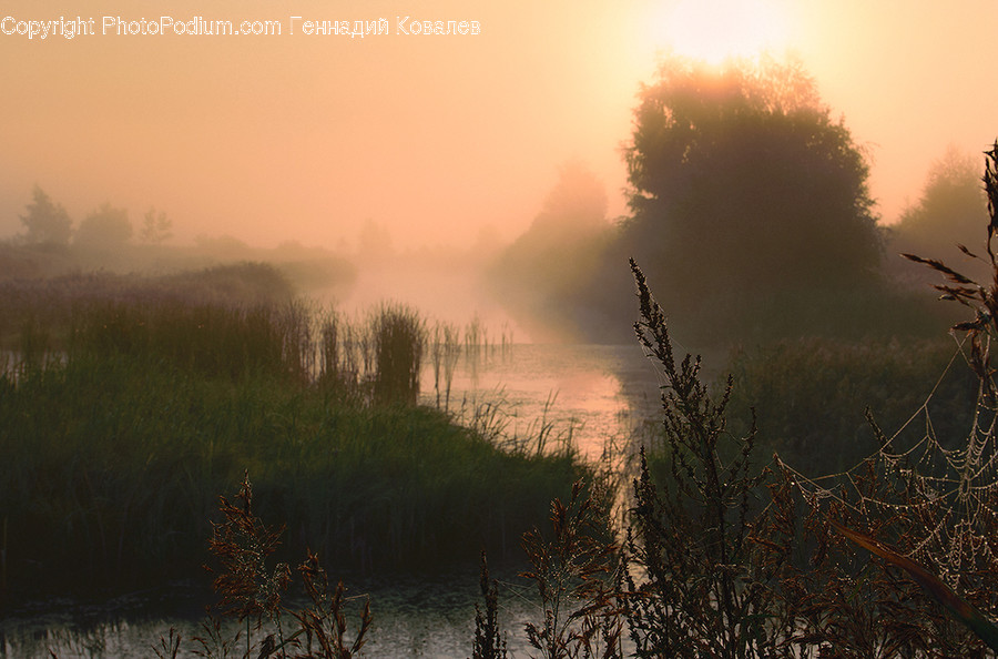 Dawn, Dusk, Nature, Outdoors, Red Sky
