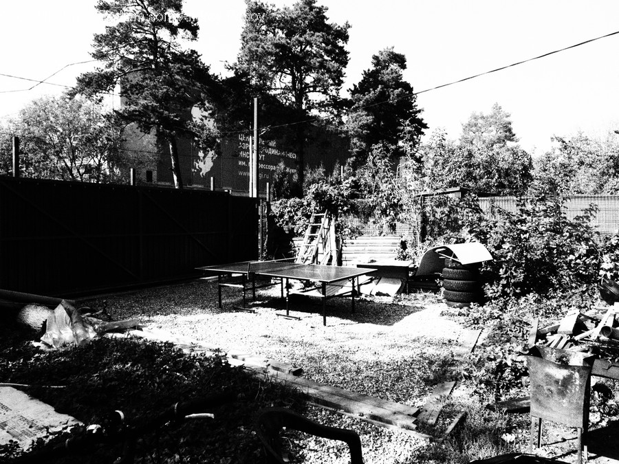 Outdoors, Yard, Rubble, Flora, Plant