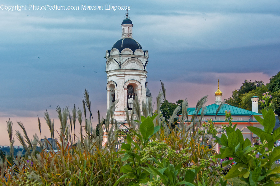 Architecture, Bell Tower, Building, Tower, Church