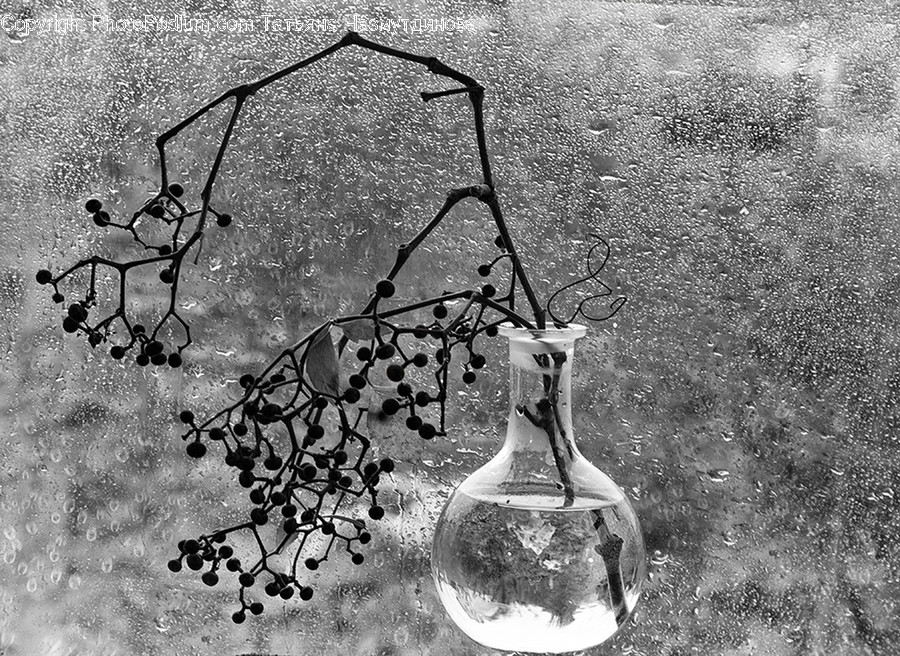 Asphalt, Tarmac, Jar, Pottery, Vase