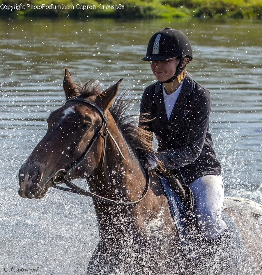 Human, People, Person, Water, Animal