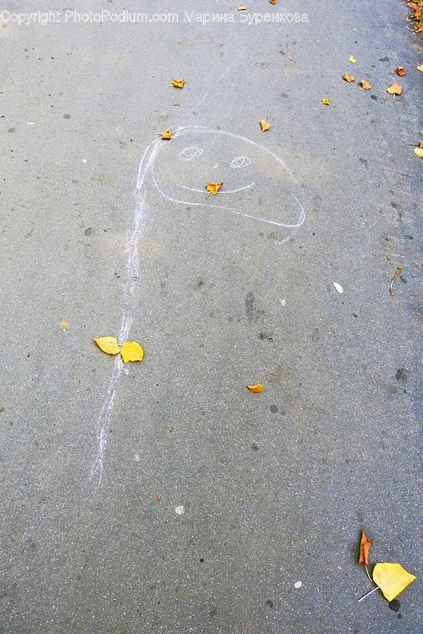 Path, Pavement, Sidewalk, Walkway