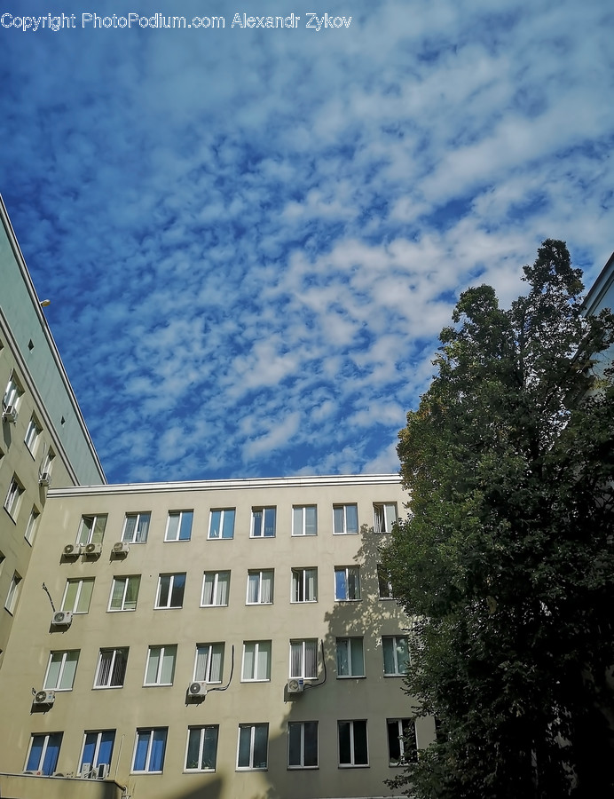 Building, House, Housing, Villa, Flora