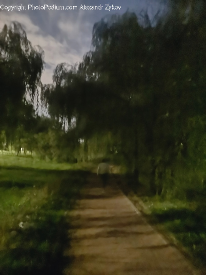 Dirt Road, Gravel, Road, Path, Pavement