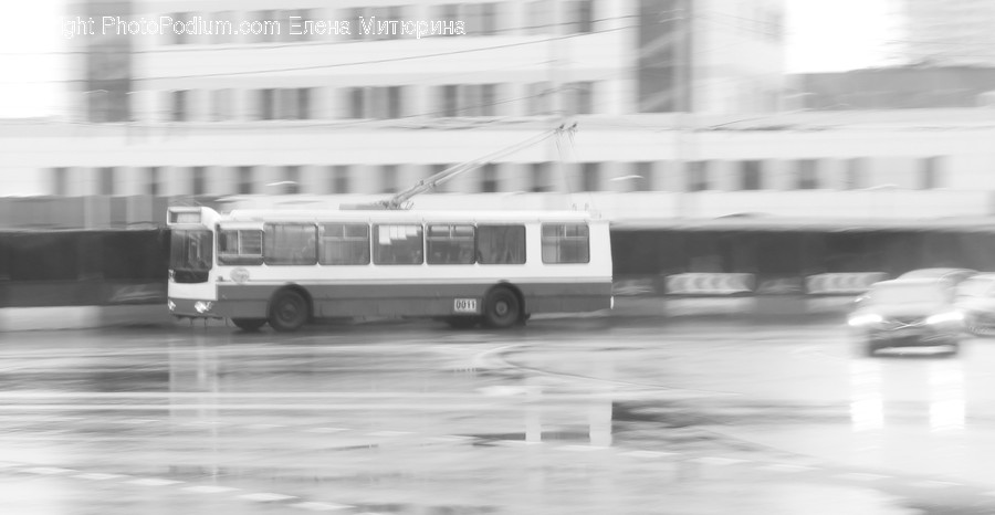 Bus, Transportation, Vehicle, Minibus, Van