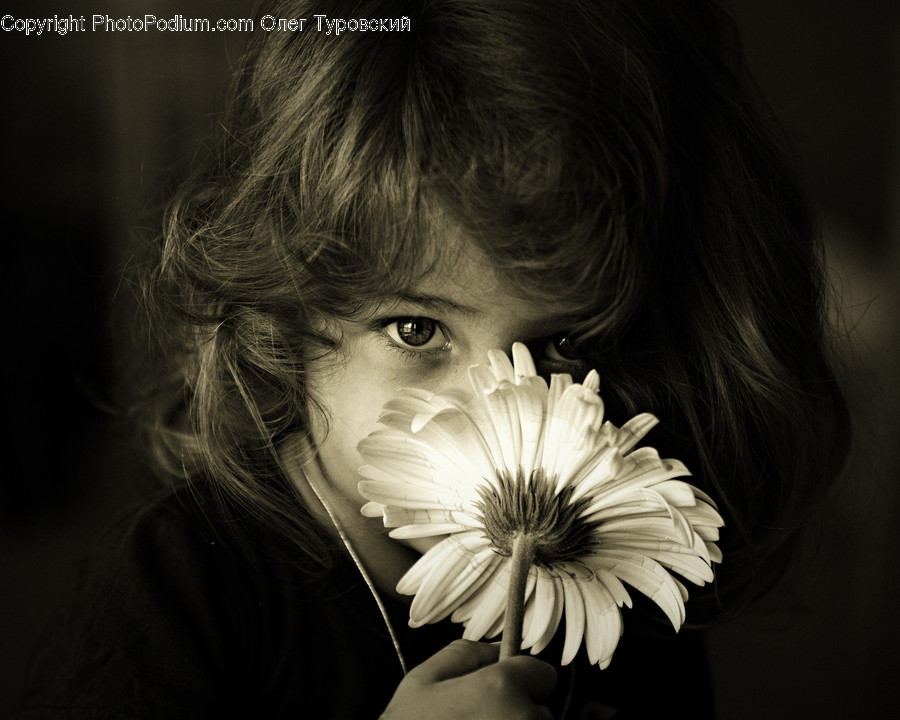 Human, People, Person, Blossom, Daisies