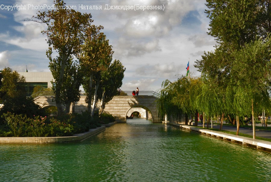Canal, Outdoors, Water, Flora, Plant
