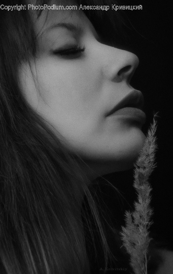 Human, People, Person, Face, Portrait