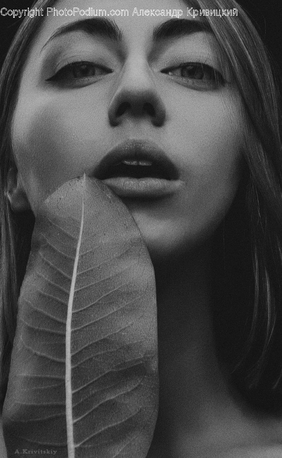 Human, People, Person, Face, Portrait