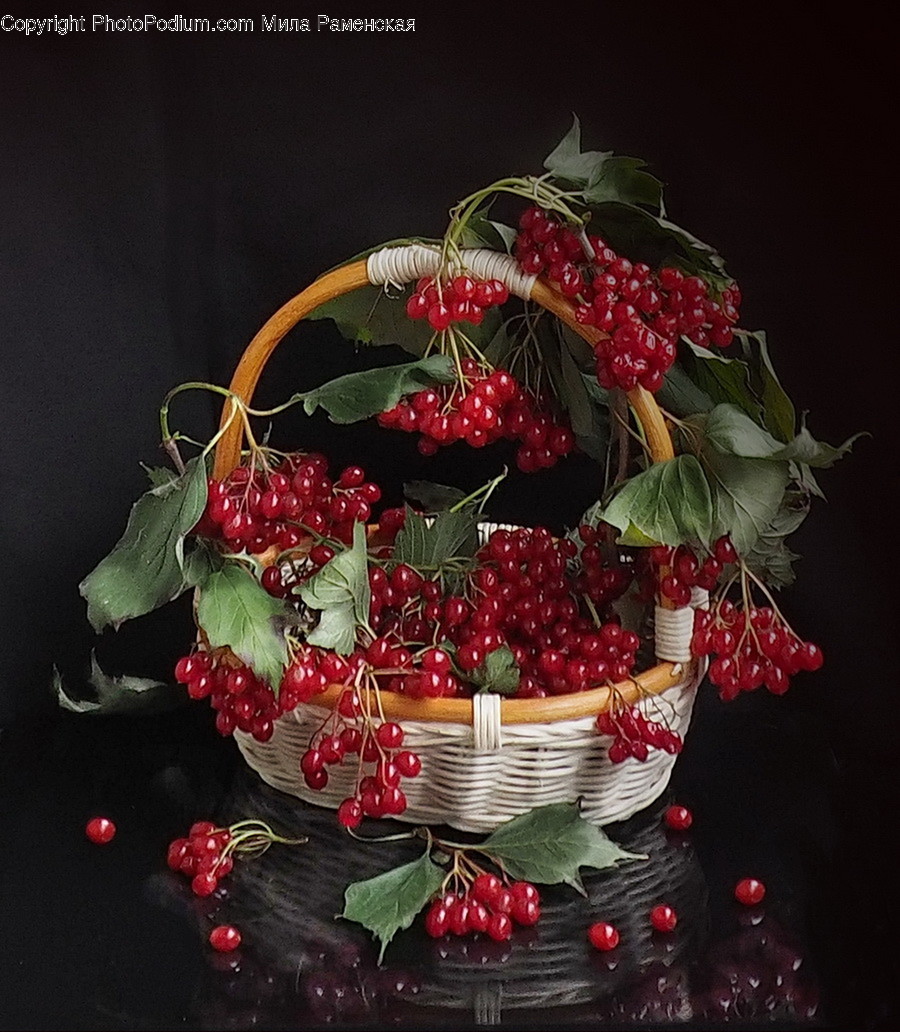 Flora, Food, Fruit, Plant, Produce