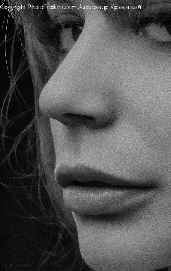 Human, People, Person, Face, Portrait