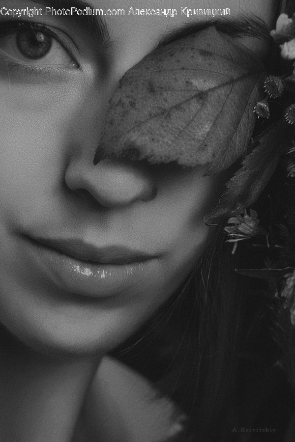 Human, People, Person, Face, Portrait