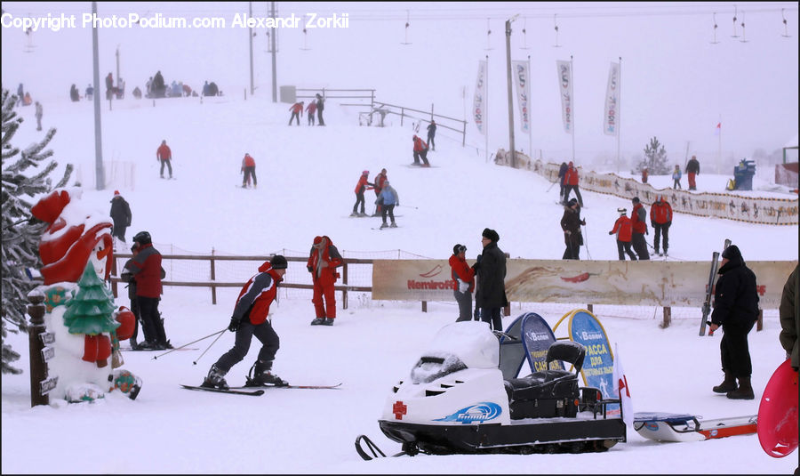 People, Person, Human, Piste, Skiing, Slide, Snow