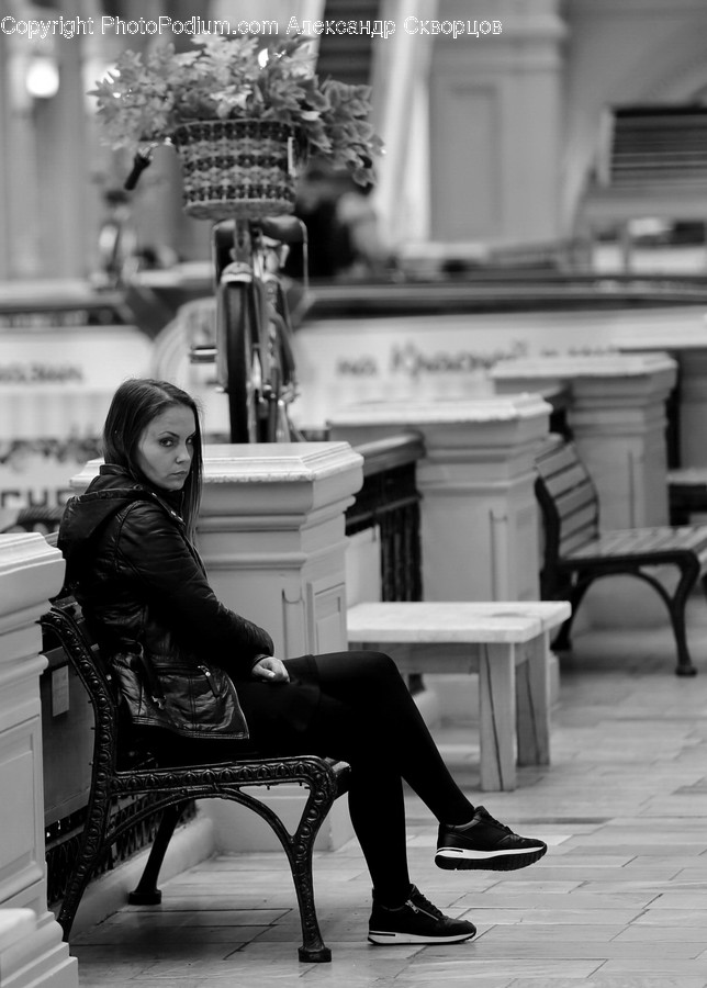 Human, People, Person, Bench, Flora