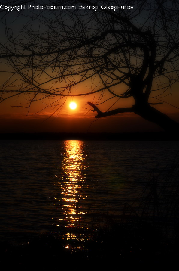 Dawn, Dusk, Nature, Outdoors, Red Sky
