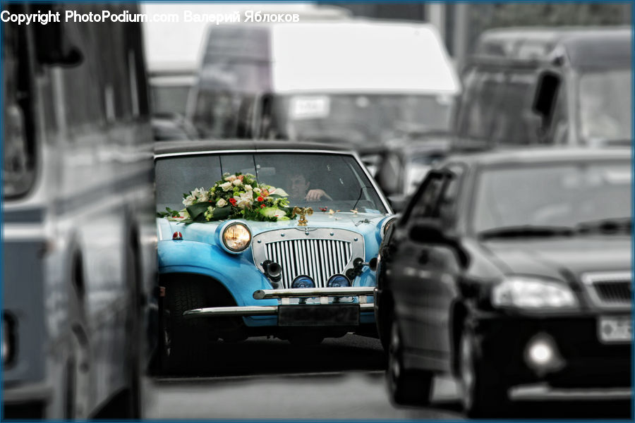 Automobile, Car, Vehicle, Headlight, Light, Plant, Potted Plant