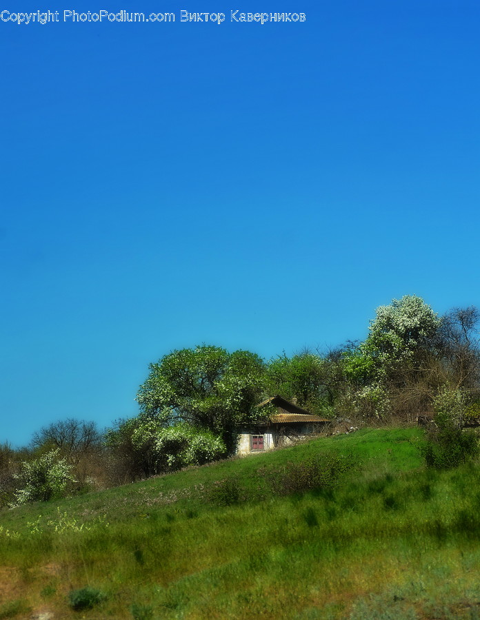 Field, Grassland, Outdoors, Countryside, Nature