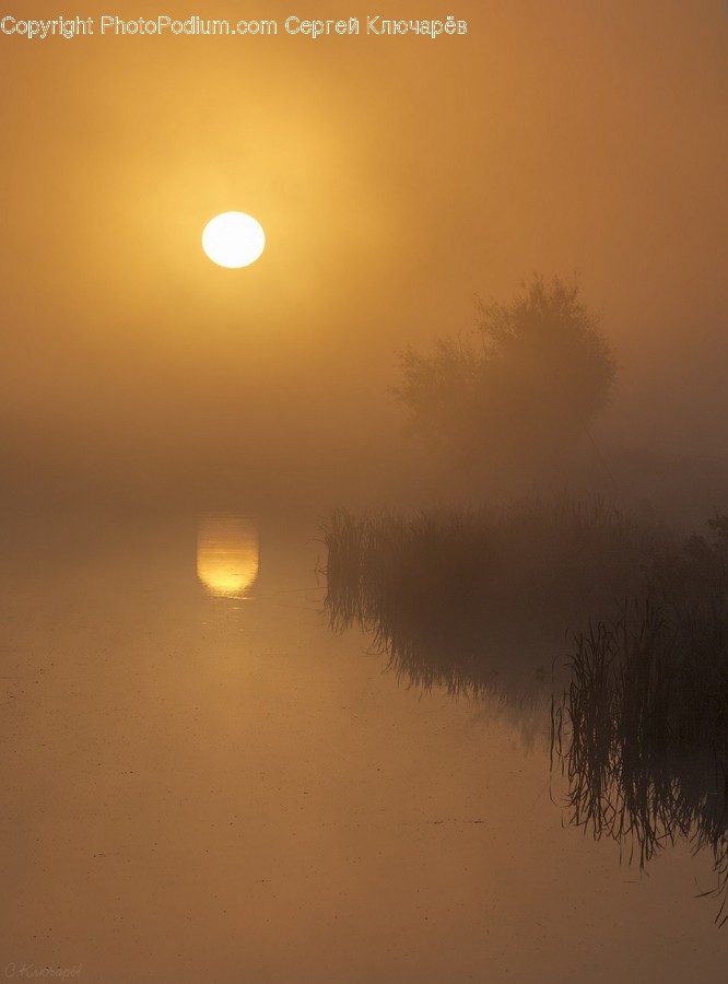 Fog, Nature, Weather, Astronomy, Full Moon