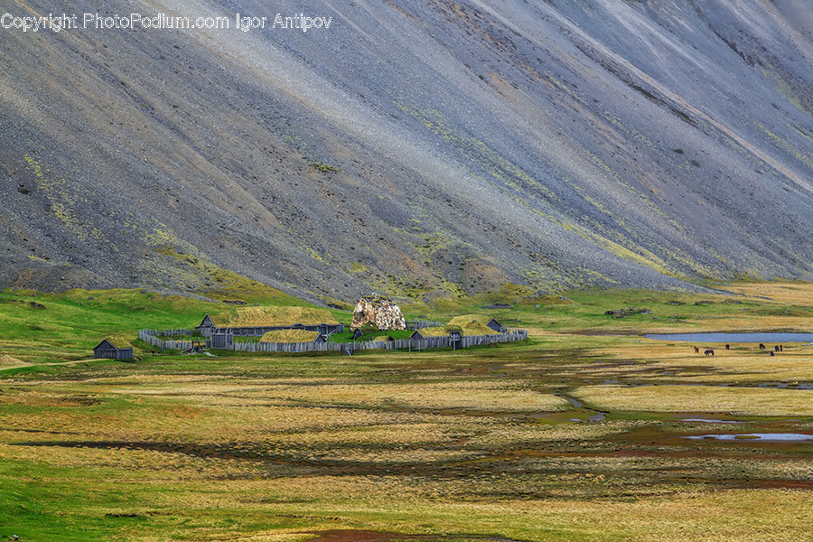 Field, Grassland, Outdoors, Dirt Road, Gravel