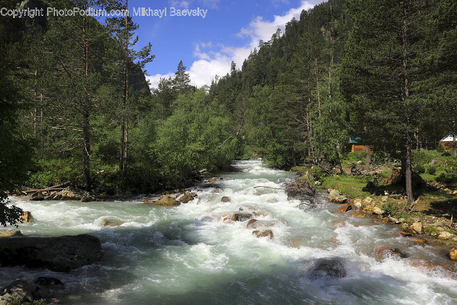 Creek, Outdoors, Stream, Water, River