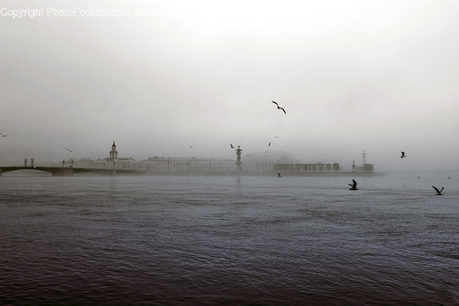 Flood, Nature, Beach, Coast, Ocean